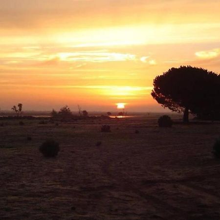 La Cabaña de Doñana El Rocío Exterior foto